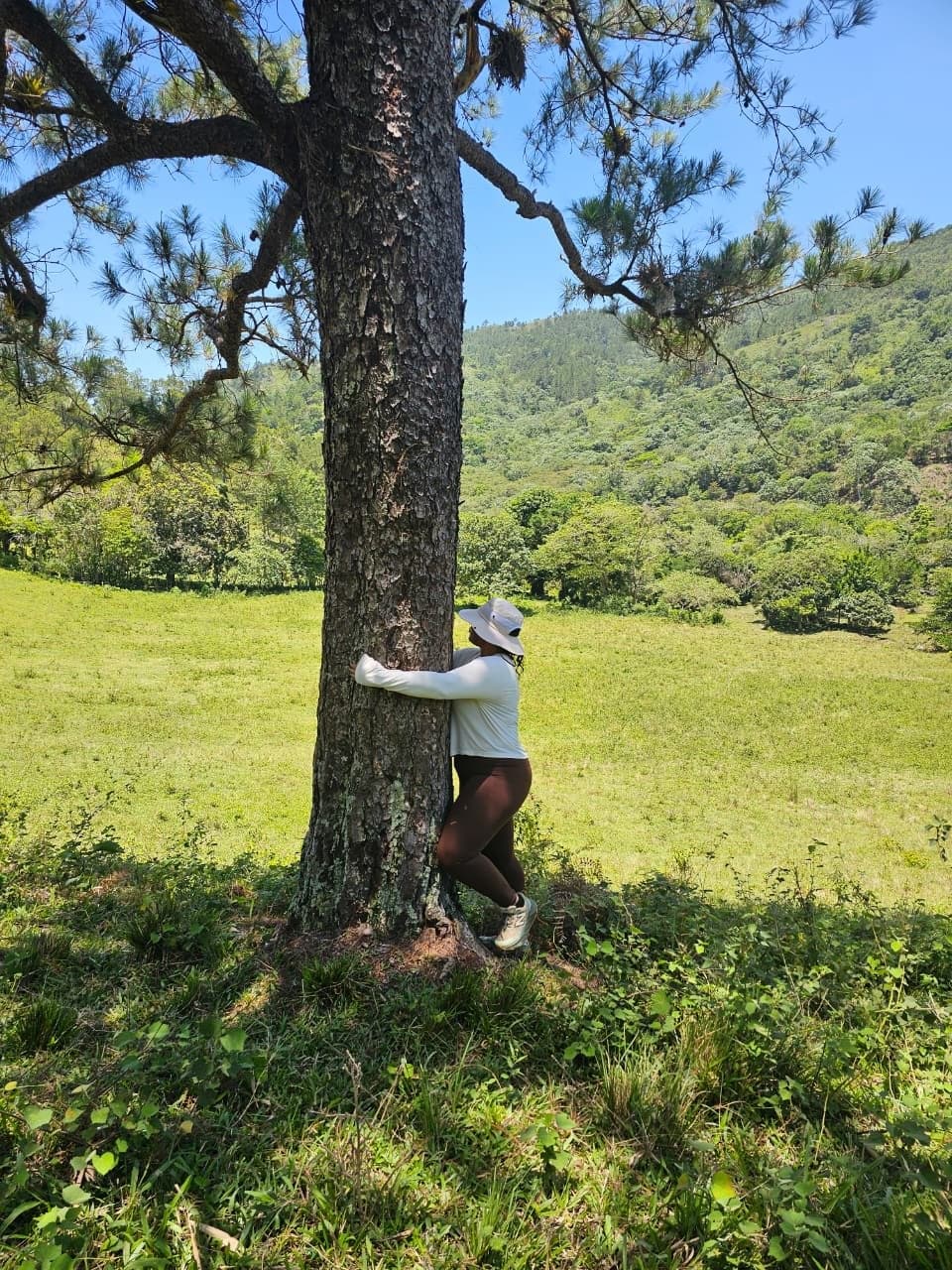 Sendero Los Montazos Guanajuma — foto 5