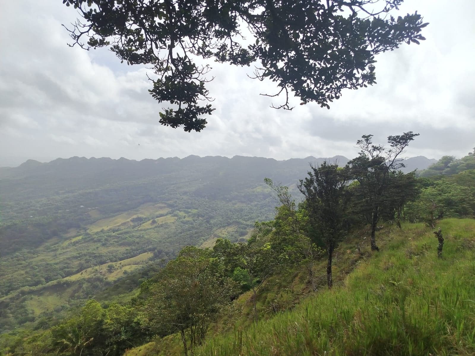 Sendero Los Toros — foto 1