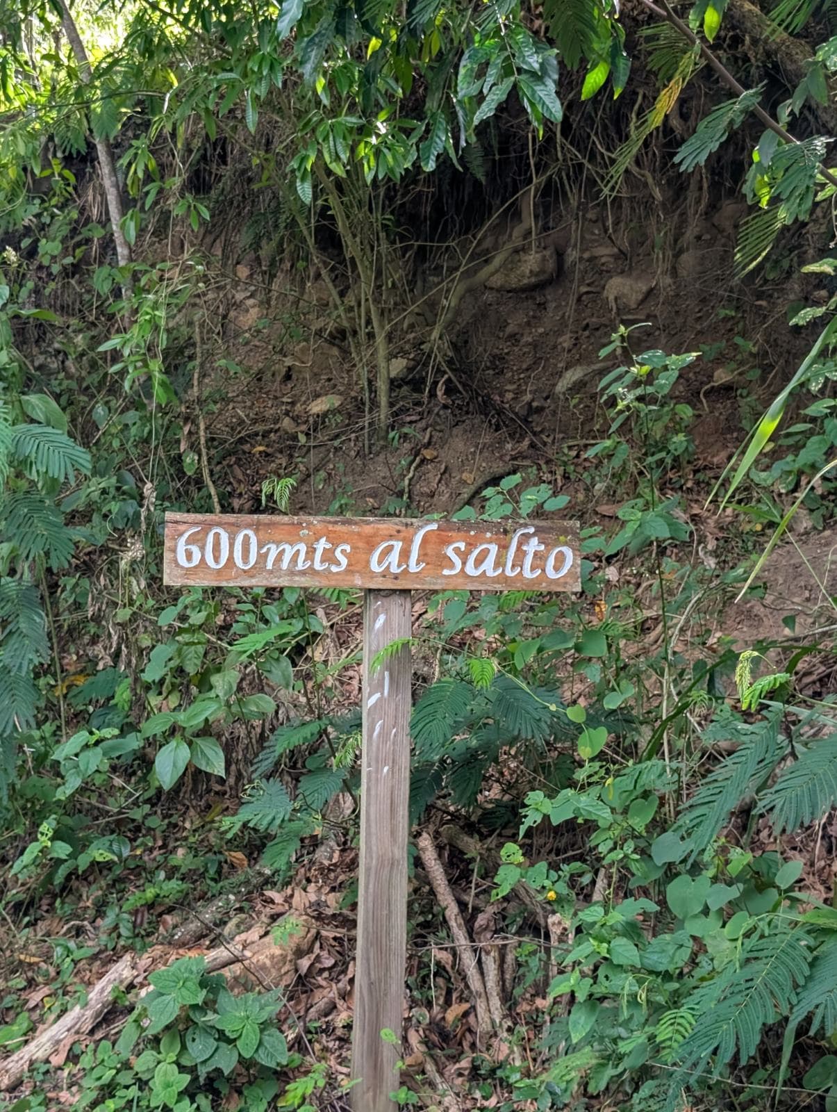 Imagen de galería 8