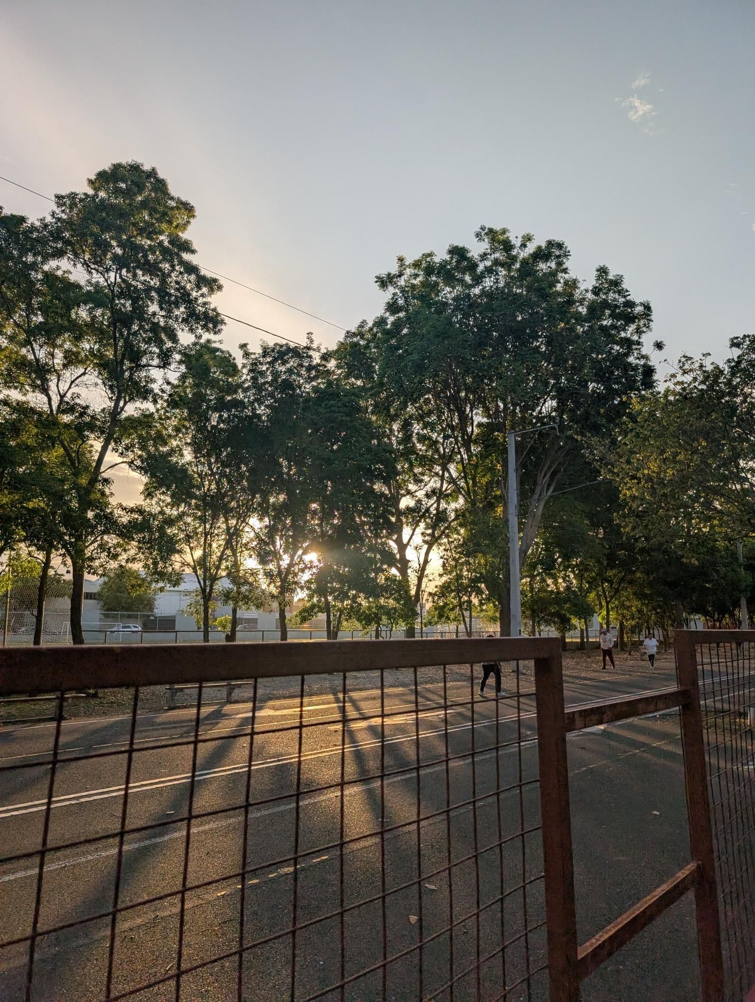 Imagen de galería 2